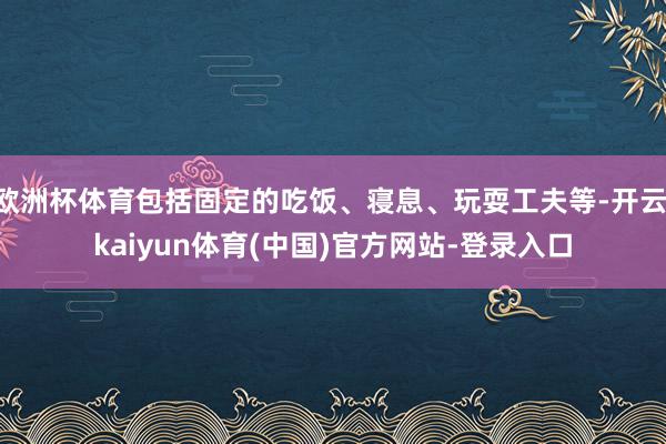 欧洲杯体育包括固定的吃饭、寝息、玩耍工夫等-开云·kaiyun体育(中国)官方网站-登录入口