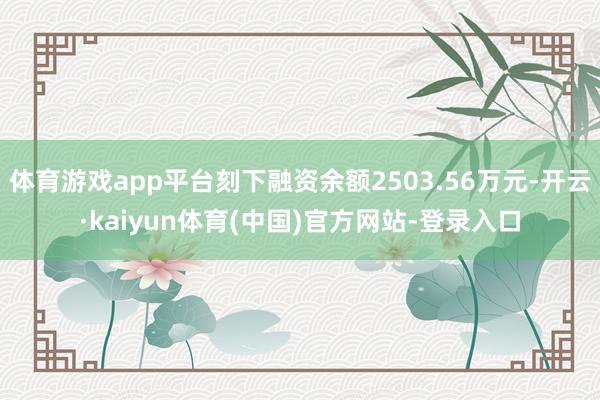 体育游戏app平台刻下融资余额2503.56万元-开云·ka