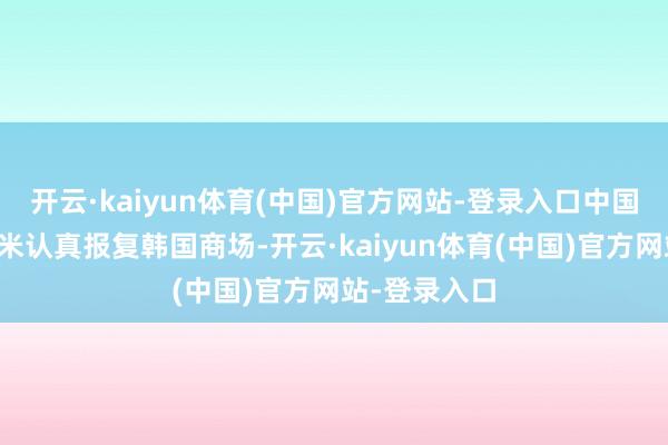 开云·kaiyun体育(中国)官方网站-登录入口中国手机厂商