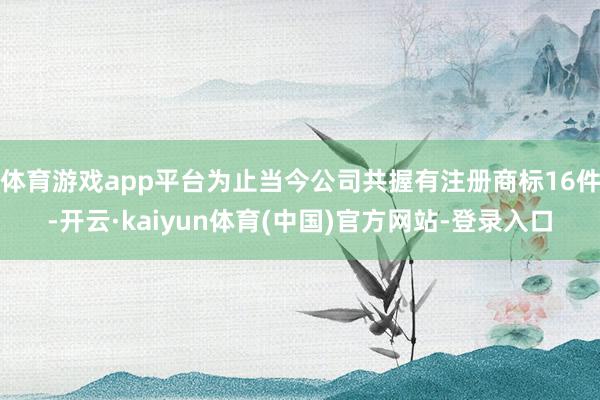 体育游戏app平台为止当今公司共握有注册商标16件-开云·kaiyun体育(中国)官方网站-登录入口